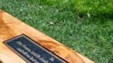 MSU debuts memorial bench near Berkey Hall
