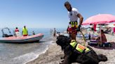 Queen, Oso, Mai, Brown, Nancy y Buddy: los seis perros socorristas de las playas de Vélez-Málaga