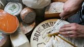 Will brie and Camembert cheeses go extinct? Here’s what scientists say.