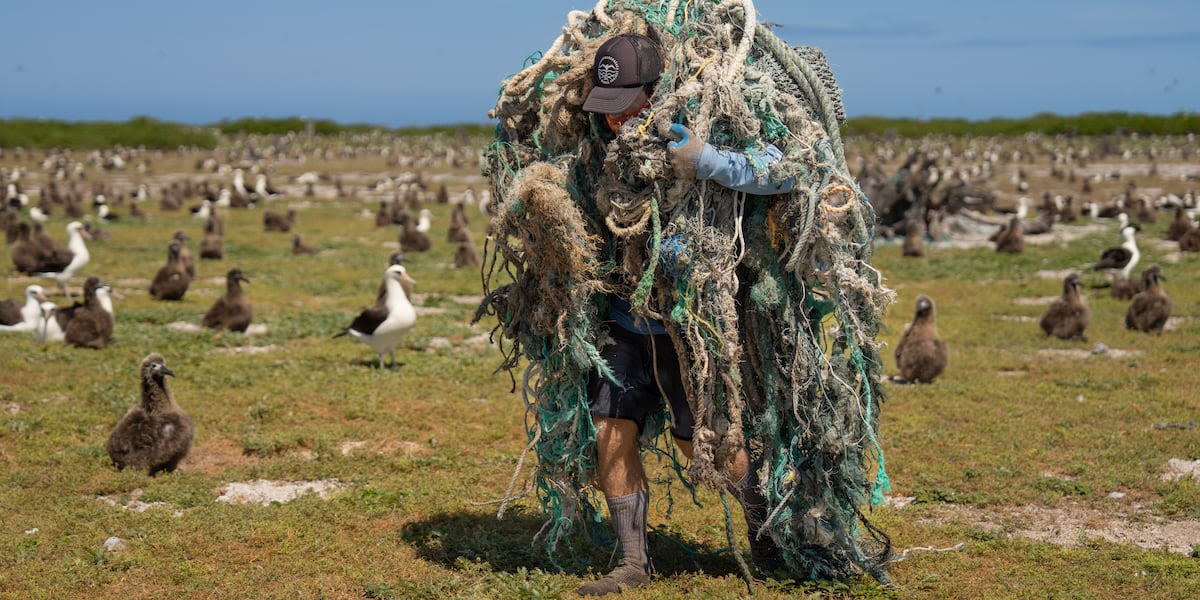 Hawaii nonprofit removes over 70K pounds of marine debris from Midway Atoll