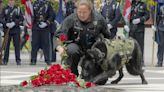 San Diego Police dog 'Sir' killed in line of duty will be honored at national memorial service