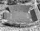 Gator Bowl Stadium