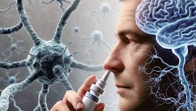 Nasal spray clears proteins linked to Alzheimer's - new study - ET HealthWorld