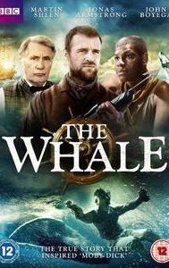 The Whale