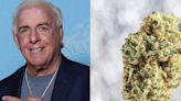 Ric Flair's Drip Cannabis Products Hit Shelves In Michigan Via Collab With Goldkine, Here Where To Find Them