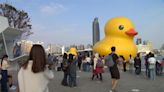 黃色小鴨吸引逾400萬遊客 2/14將合體放閃