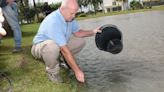 Ya son 3 los barrios privados que sembraron peces en sus lagunas para combatir el dengue