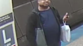 Chicago police searching for man who violently attacked passenger on CTA Red Line platform