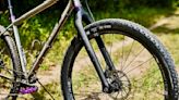 Lithic by Wolf Tooth Components' carbon bikepacking MTB fork features a compatibility-solving drop-out system