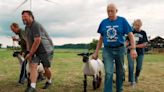 TV Veterinarian Dr. Pol Tackles Big Project with His Family in New Show “The Incredible Pol Farm ”(Exclusive)