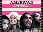 American Animal