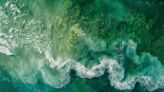 Global Cooling Breakthrough: Scientists Discover Ocean Algae’s Crucial Climate Impact