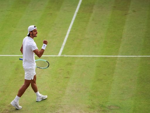 Djokovic cruises at Wimbledon, Zverev crashes