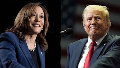 Harris y Trump se baten en un duelo de campañas en los Estados clave