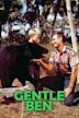 Gentle Ben