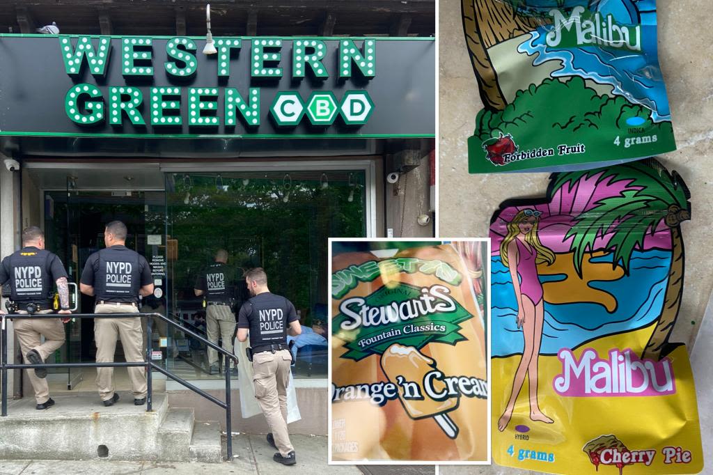 Cannabis cops uproot illegal weed shop in heart of Queens business district