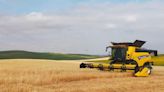 Las lluvias de primavera posibilitan una buena cosecha de cereales