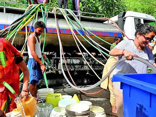 Delhi Govt Seeks Immediate Release of Additional Water for Water Crisis | Delhi News - Times of India