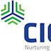 CIC Holdings