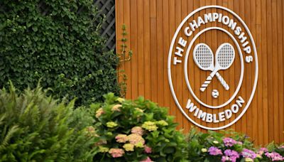 Wimbledon Tennis Championships 2024: Scores, results, final start time, winners, TV channel, live stream