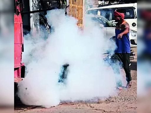 Residents express concerns over lack of fogging during dengue season in Ludhiana | Ludhiana News - Times of India