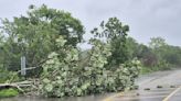 Vientos de Beryl dejan árboles y láminas tiradas en Yucatán