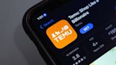 Temu's Growth Surge Makes Parent PDD Surpass Alibaba as China's Most Valuable E-Commerce Giant
