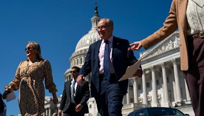 Democratic leader shifts Senate into campaign mode