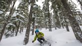 I'm Not The Biggest Fan Of Skiing Tight Trees. Here's Why.