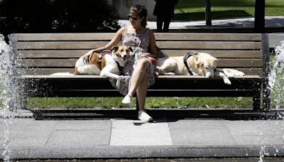 Montreal weather: July is shaping up to be doggedly hot