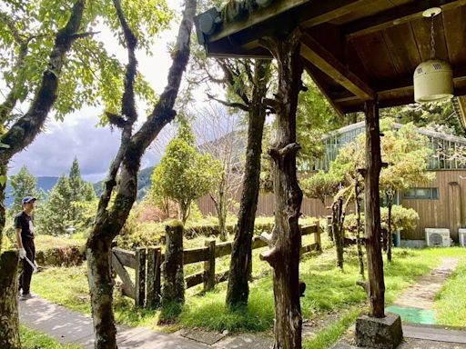 宜蘭太平山隱藏版景點曝光 80年檜木老屋保留原汁原味風格