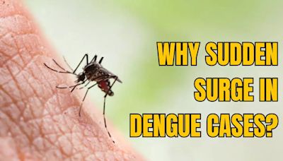 Bengaluru Sees 3rd Dengue Death; Why Is There A Sudden Surge in Cases?