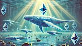 Ethereum Whales Rapidly Accumulate ETH Amid Price Decline