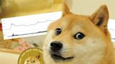 Dogecoin: How did an iconic meme become the world’s richest man’s favourite cryptocurrency?