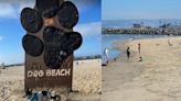 ¡Cuida a tu lomito! Reportan fuga de agua residuales en playa para perros en San Diego