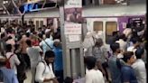 Mumbai: Viral Social Media Post Highlights Severe Overcrowding And Commuter Struggles On Local Trains At Dadar Station; VIDEO