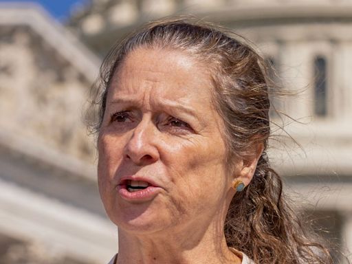 Abigail Disney: Biden, DNC Not Getting ‘Another Dime’ Until President Steps Aside