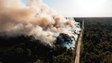 No Pantanal, como uma queima proposital pode ajudar a prevenir incêndios?