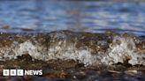 Sewage in Oxfordshire's rivers 'needs a bold solution'