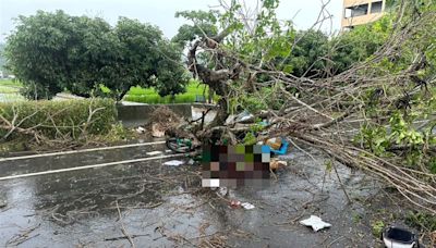 快訊／大雨釀災！彰化45歲郵差冒雨送信 遭倒塌路樹猛砸重壓慘亡