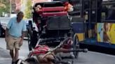 Carriage Horse Collapses in NYC Renewing Bid to Ban Practice