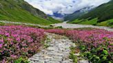 Planning To Trek Valley Of Flowers In Monsoon, Know These Important Things