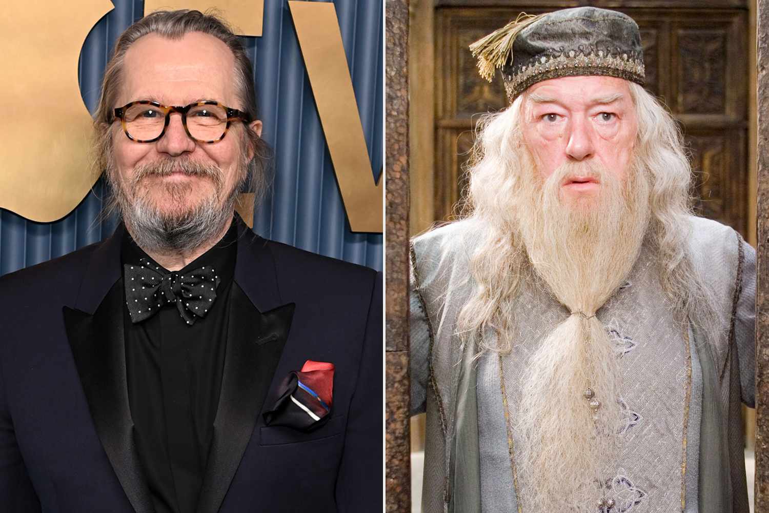 Gary Oldman Says He Could Play Dumbledore in “Harry Potter” TV Series After Sirius Black 'Wasn't in It Enough'