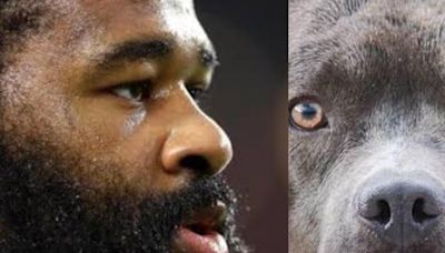 NFL | Un jugador de los Kansas City Chiefs comete el acto más inhumano con dos perros