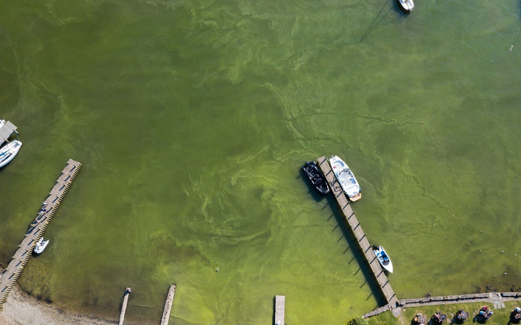 ‘Raw sewage pumped into Lake Windermere for 10 hours’