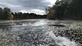Picture-postcard Rhode Island scenery awaits at Tillinghast Pond trail