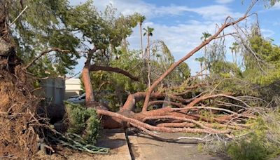 Scottdale residents shocked by monsoon storm damage