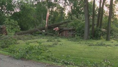 Fallen tree traps family inside Southfield home