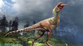 La increíble historia del ‘Megalosaurus’, 200 años después de su publicación científica