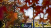 Cigna, Humana Merger Deal ‘Math Now Works,’ Jefferies Says